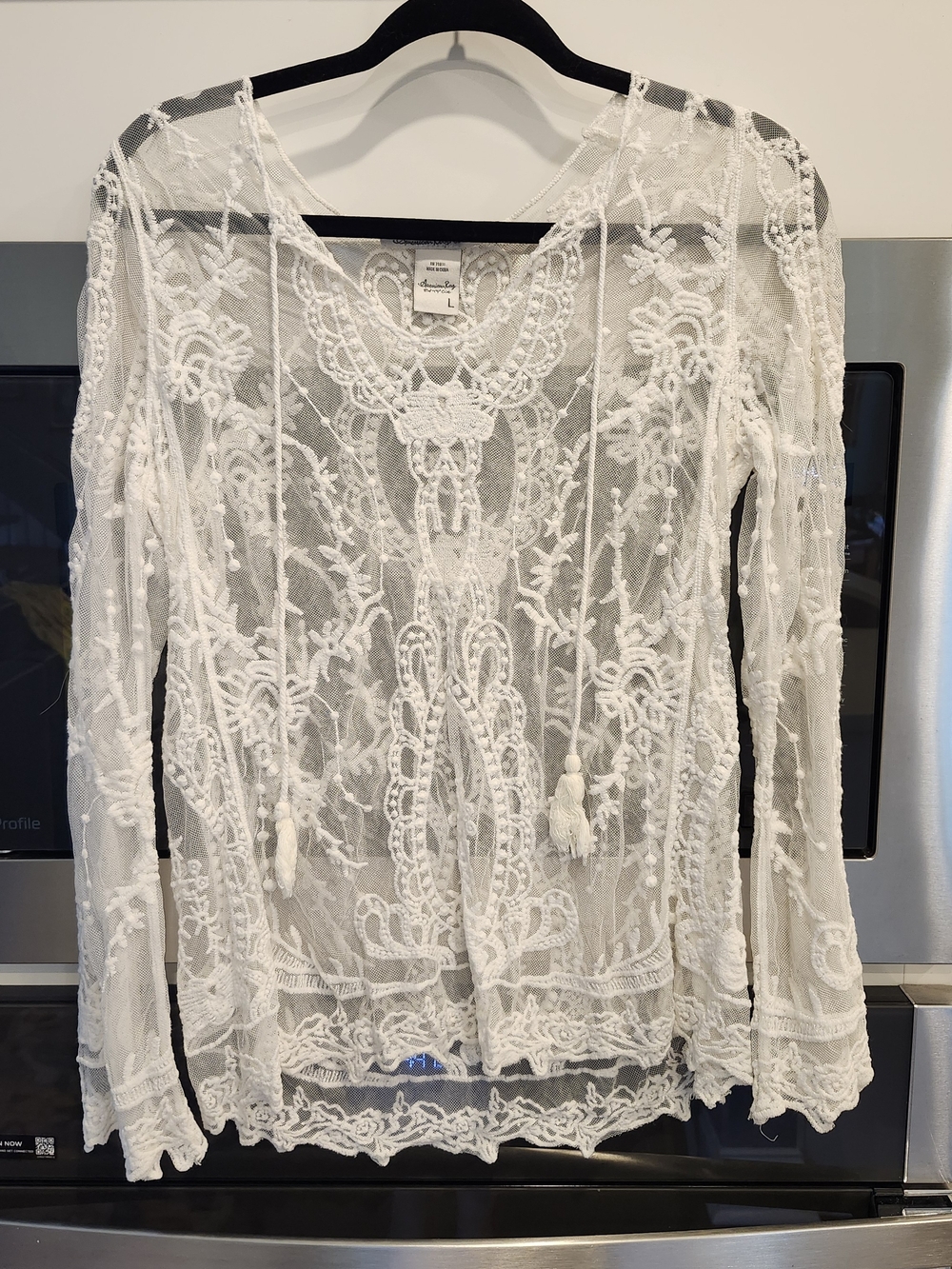 American Rag Cie Boho Sheer Embroidered Lace Blouse in White